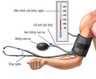 Cách đo huyết áp.webp